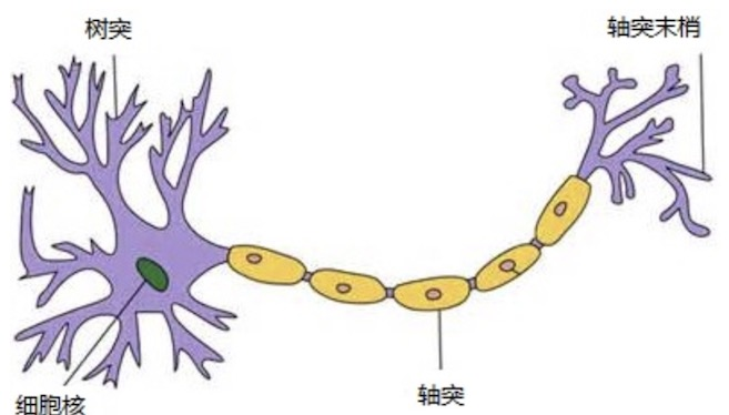 image-20250506100858708